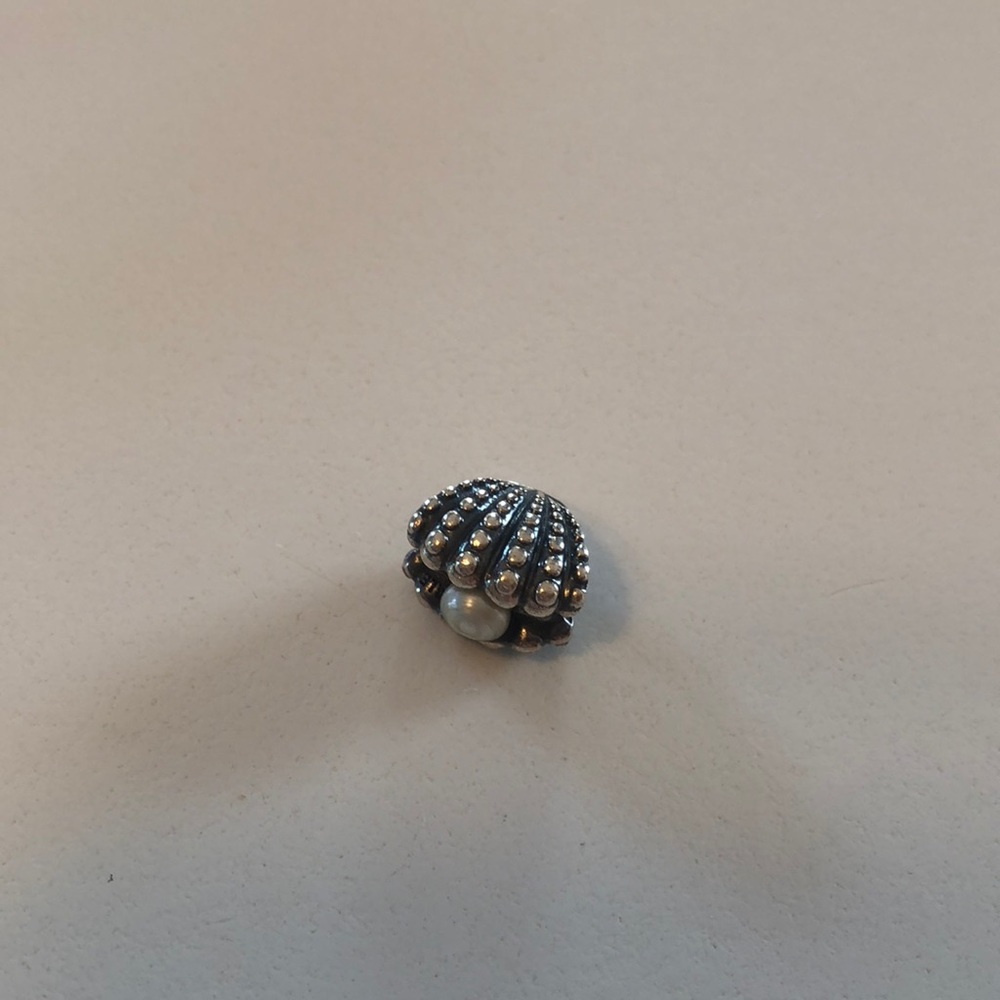 Pandora charm